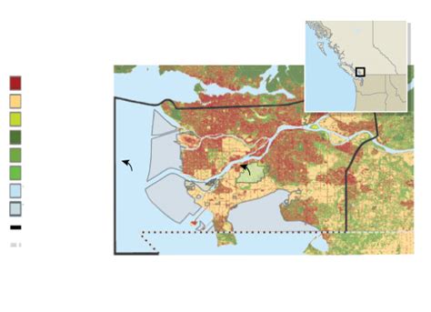 For the Fraser River delta, a crucial choice looms for species and a ...