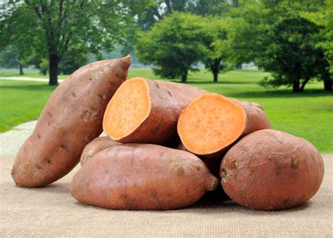 Sweet Potatoes: Delicious and Nutritious | Live Science