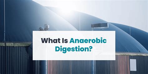 What Is Anaerobic Digestion? - Bristola