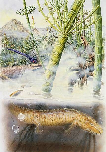 Eogyrinus attheyi in a Carboniferous Period swamp by Brin Edwards | Prehistoric wildlife ...