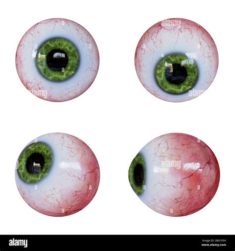 collection of human eyeballs with green iris isolated on white ...