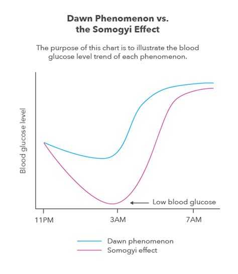 The Dawn Phenomenon & the Somogyi Effect Explained