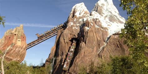 The Best Animal Kingdom Rides and Attractions