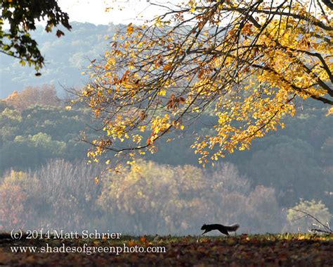 Fall Foliage in Bucks County | Words and Photographs