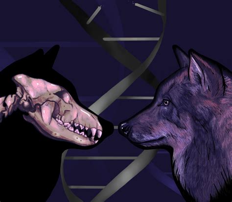 Ice Age Wolf DNA Reveals Dogs Trace Ancestry to Two Separate ...