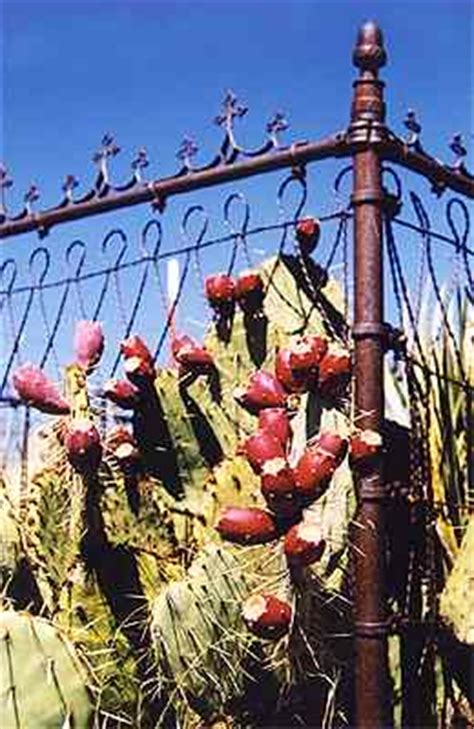 Congress, Arizona Ghost Town | Picture Gallery