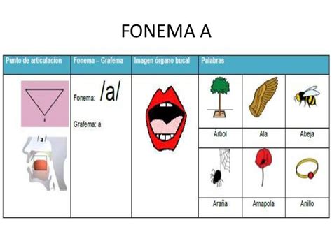 Pronunciación de fonemas 2