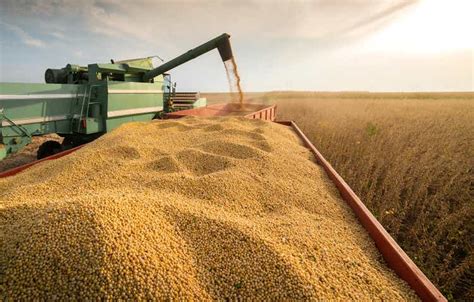 Bunge Global SA: A Good Investment Choice In The Agricultural Sector (NYSE:BG) | Seeking Alpha