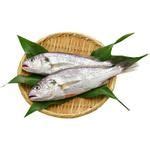 Buy Fresho Croaker Fish - Medium, Cleaned & Whole, Preservative Free, 3-5 pcs Online at Best ...