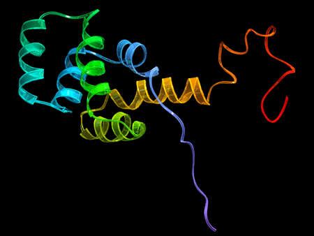 Stock Illustration - Human cytokine receptor