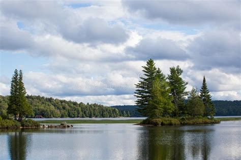 Entrance To North Bay On Big Moose Lake Stock Image - Image of eagle ...