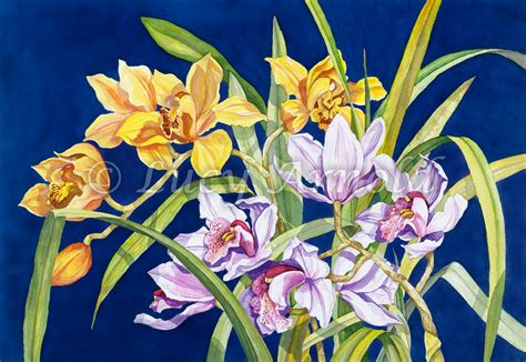 Orchids in Blue - Fine Art of Lucy Arnold