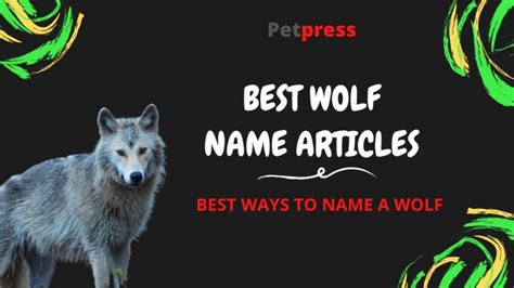 128 Powerful and Strong Wolf Names | PetPress