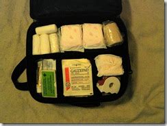 Avian Flu Diary: NPM10: Inside My Auto First Aid Kit