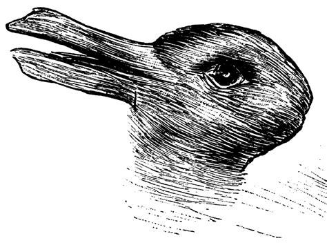 This rabbit/duck optical illusion is freaking people out