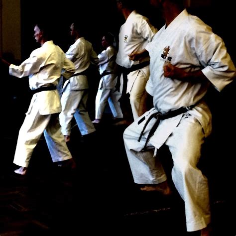 sanchin kata is fundamental to goju ryu karate and is at the core of ...