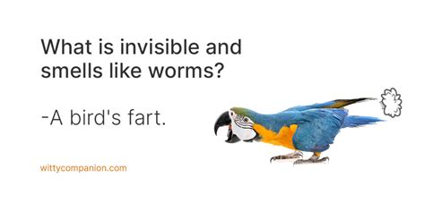 70+ Fart Jokes to Blow You Away - The Art of Flatulence Humor