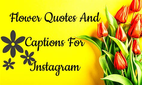 Amazing Flower Quotes For Instagram That You Should Use