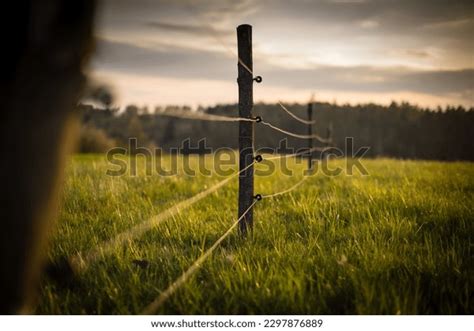 Best Electric Fence Safety Royalty-Free Images, Stock Photos & Pictures ...