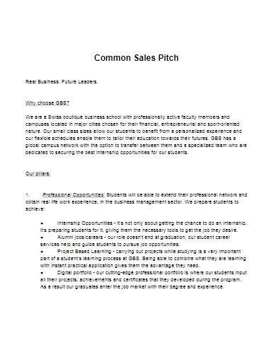 FREE 10+ Sales Pitch Samples in Google Slides | Powepoint | Flowcharts | PDF