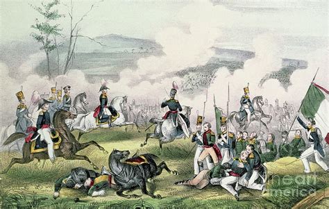 The Battle of Palo Alto, 8th May 1846 Painting by American School - Pixels