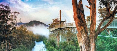 Tahune AirWalk - Great Australian Secret