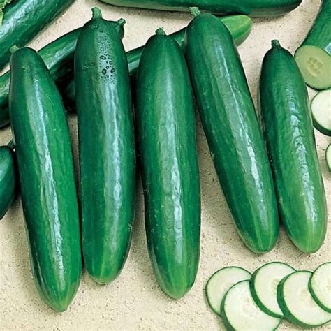 Beit Alpha cucumber seeds. | Most Popular Seeds