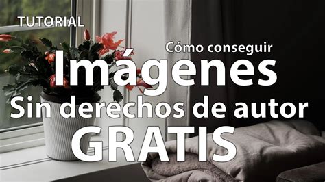 Guía para conseguir imágenes gratis sin derecho de autor