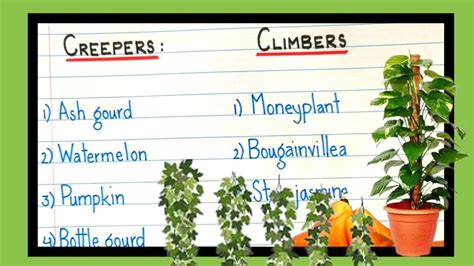 creepers and climbers examples|creepers and climbers examples - YouTube