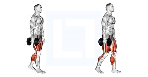 Dumbbell Suitcase Carry - Guide, Benefits, and Form