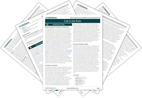 Cat in the Rain Summary & Analysis | LitCharts