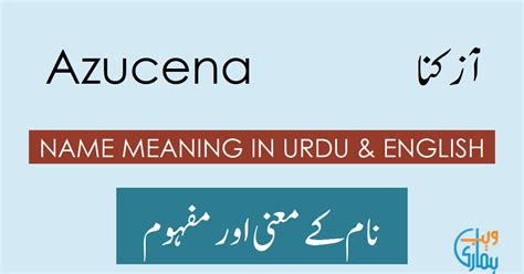 Azucena Name Meaning - Azucena Origin, Popularity & History