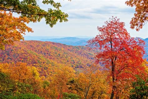 Fall Brilliance in Asheville, North Carolina — Kevin & Amanda