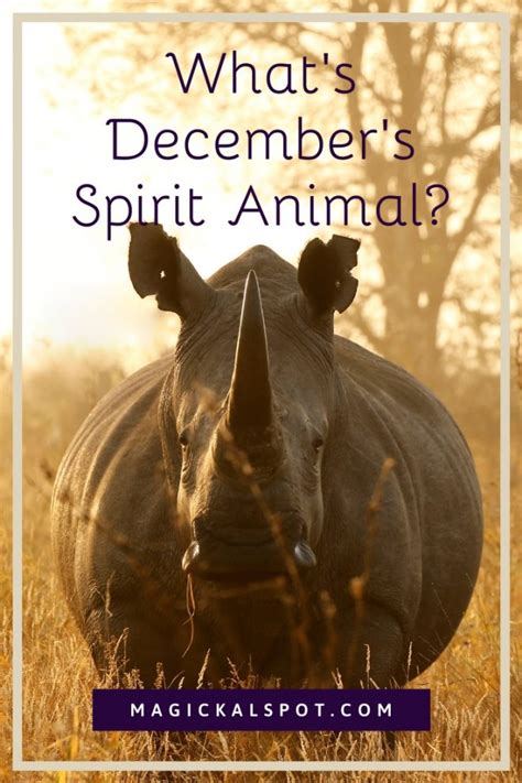 What’s December’s Spirit Animal? [+Working With Its Energy]