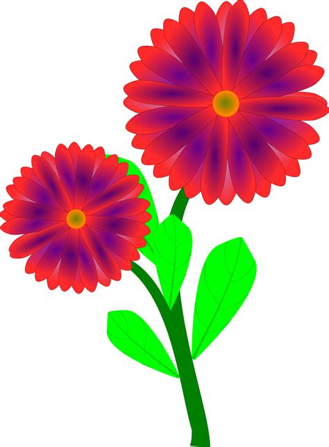 Clipart - Flowers