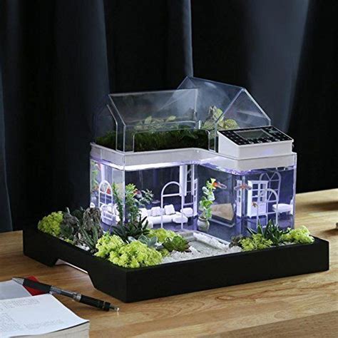 Acryl Mini Micro Landschaft Aquarium Büro Schreibtisch Kleine Persönliche Ökologie ...