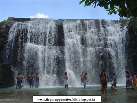 Tirparappu Water Falls: Falls Image