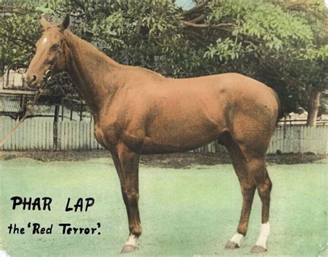 Phar Lap Forever | National Film and Sound Archive of Australia