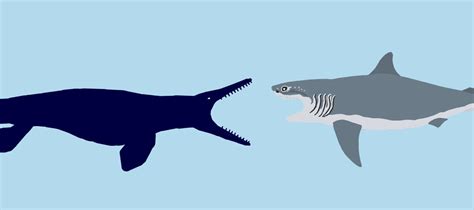 Cretoxyrhina Vs Tylosaurus