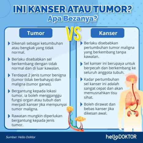 Jenis Kanser Dan Diagnosis Untuk Penyakit Kanser - Hello Doktor