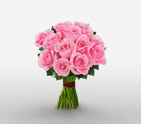 Pink Blush - One Dozen Pink Roses | Send Pink Roses Online For Occasions like Anniversary ...