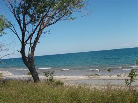 Great location, basic campsites - Review of Craigleith Provincial Park, Blue Mountains, Canada ...