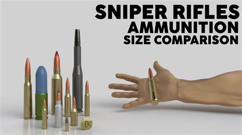 Sniper Rifles (Precision Rifles) Ammunition Size Comparison - 3D - YouTube