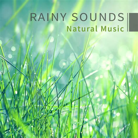 Rainy Sounds – Natural Music: Meditation & Relaxation, Yoga, Spa & Massage, Calm Melody for Your ...