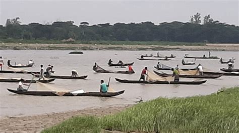 Indigenous fishes spawn in Halda river - Bangladesh Post