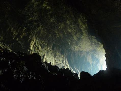 There's a 'Deer Cave' in Malaysia and It's the Second LARGEST Cave in the World! - WORLD OF BUZZ