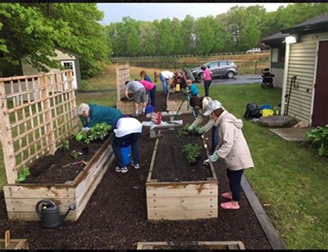 Raised gardening beds perfect for seniors