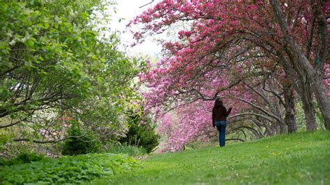 Littlefield Ornamentals Trial Garden - Self-Guided Walking Tours - University of Maine