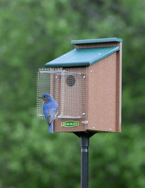 Duncraft.com: Bluebird House with Pole & Noel Guard | Bluebird house, Bird house kits, Bird ...