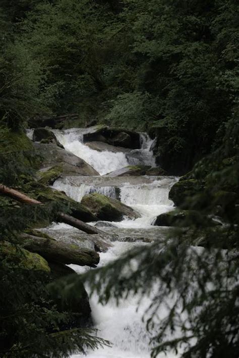 River Waterfall in the Forest · Free Stock Photo